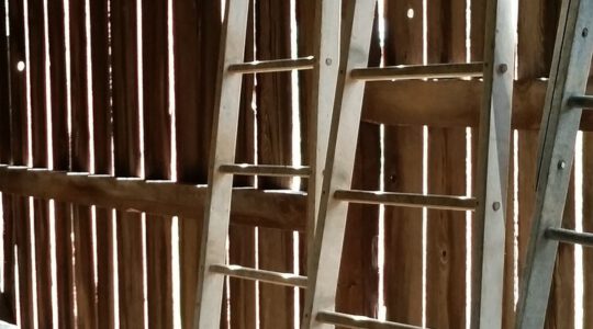 Innenbaustelle mit Aluminiumleiter